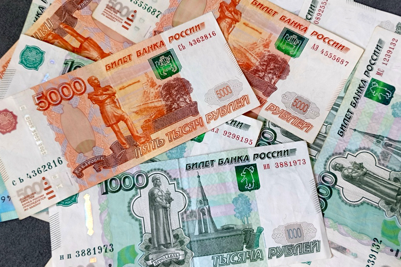 На цифровизацию здравоохранения в Рязанской области выделили почти 110 миллионов рублей