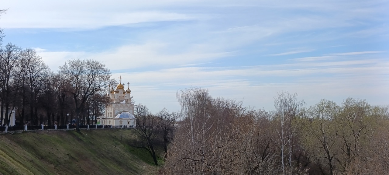 Губернатор Рязанской области присоединится к акции по высадке деревьев