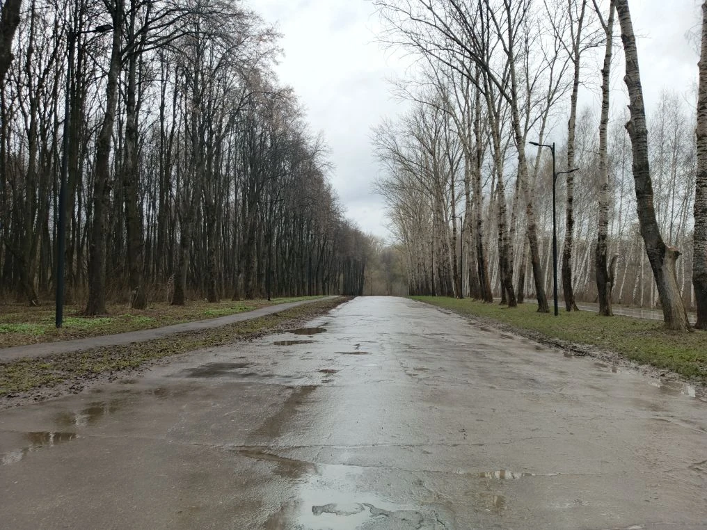 Лесопарк Рязани полностью освободился от воды