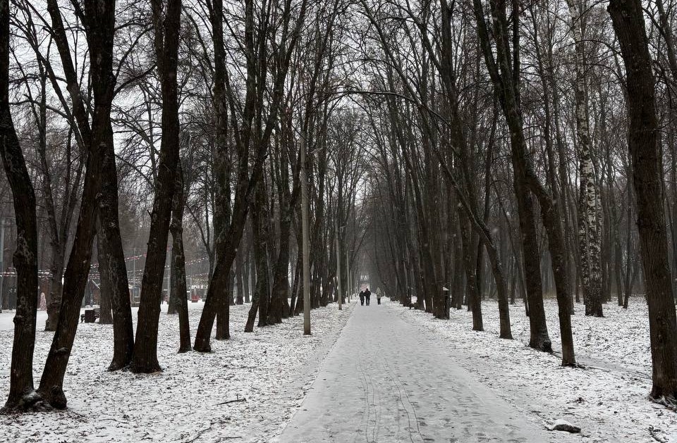 Холодная погода сохранится в Рязанской области до мая