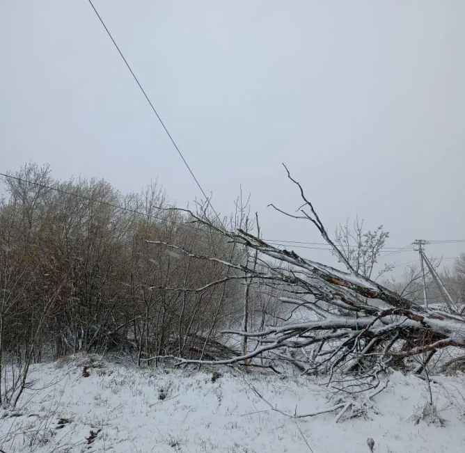 В 5 округах Рязанской области зафиксировано отключение электричества