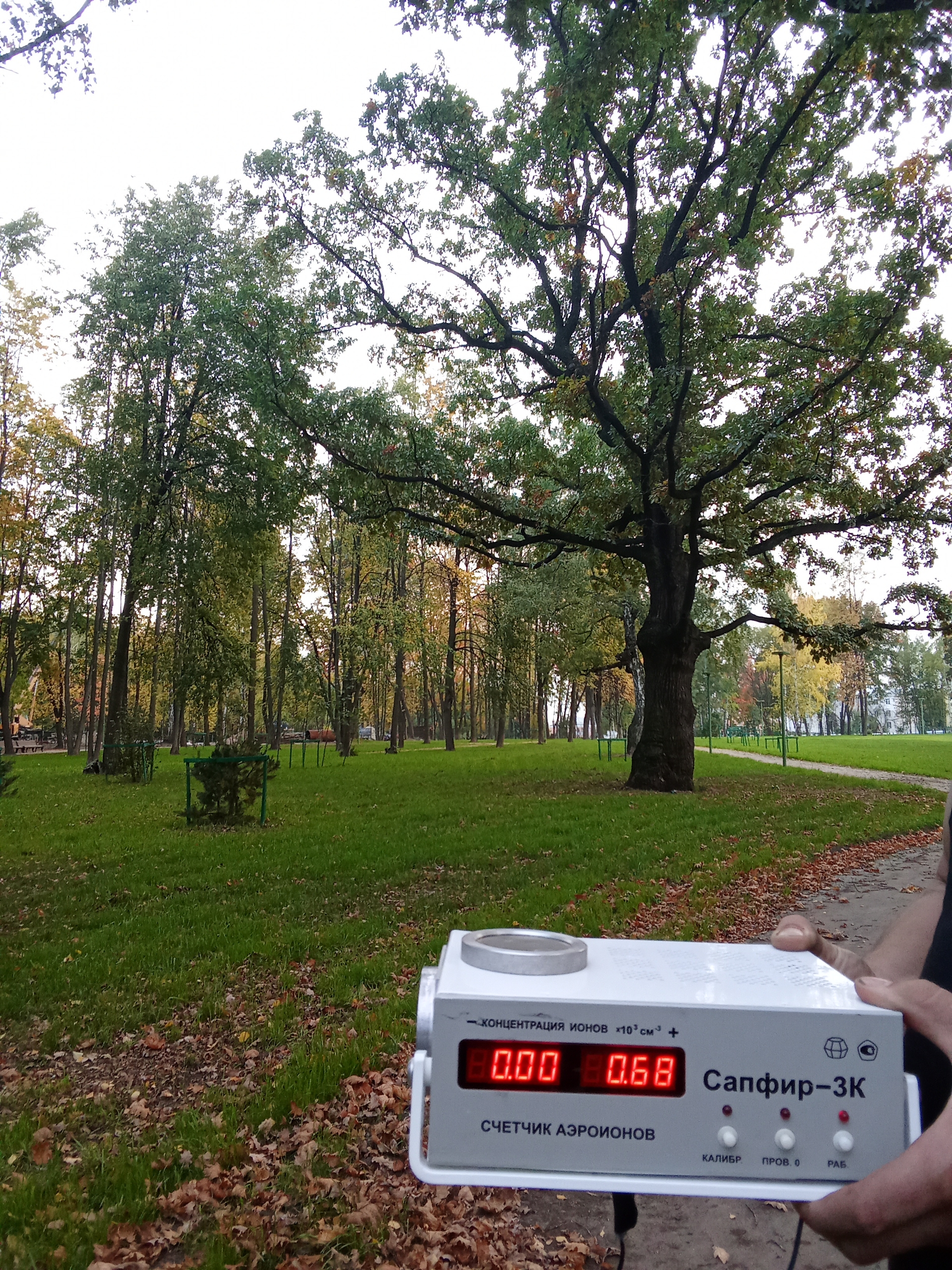 В рязанском ЦПКиО измеряют концентрацию аэроионов