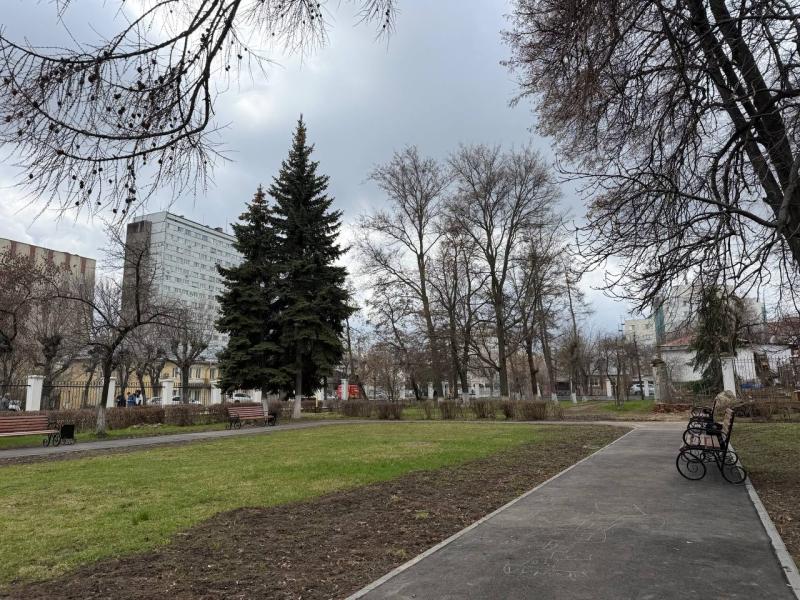 В Рязани разместили тендер на обработку парков от клещей